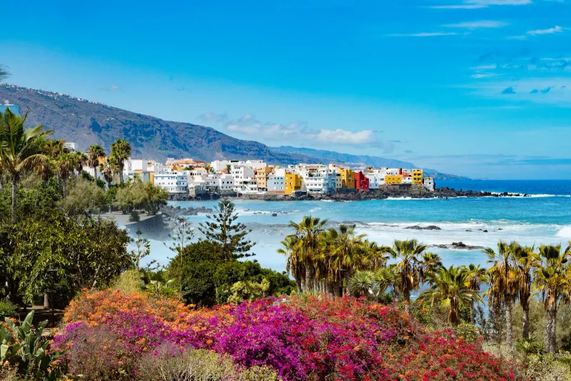 Puerto de La Cruz