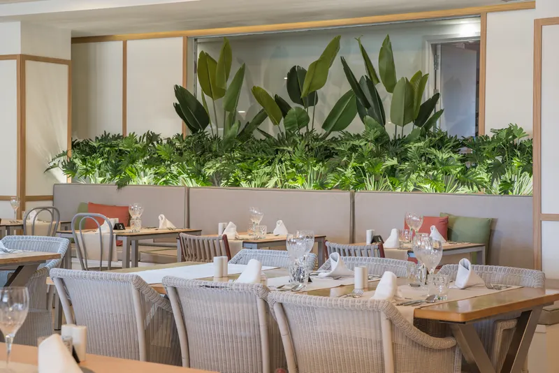 Gastronomía — Hotel LIVVO Anamar Suites, Playa del Inglés 1