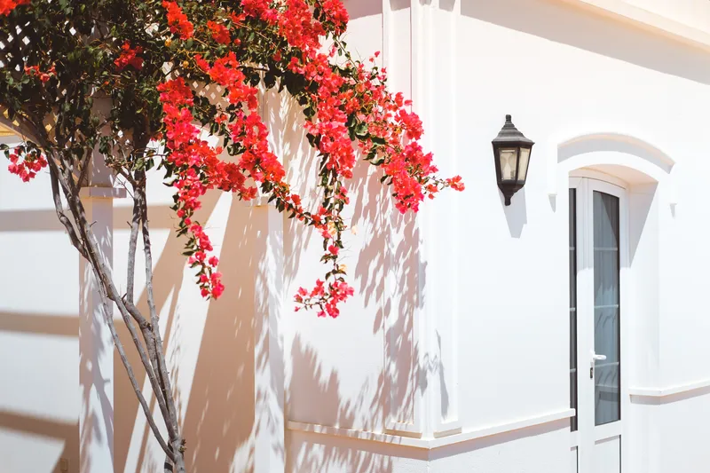 Apartamento Bali Plus — Apartamentos LIVVO Coloradamar, Playa Blanca 6