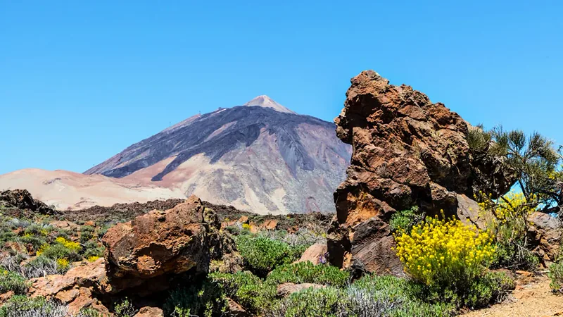 Qué ver en Tenerife en una semana: ruta por norte, sur, Teide y Anaga
