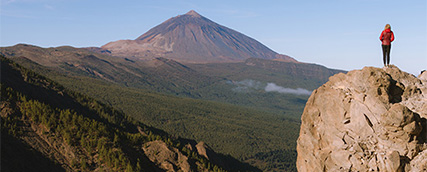 senda image